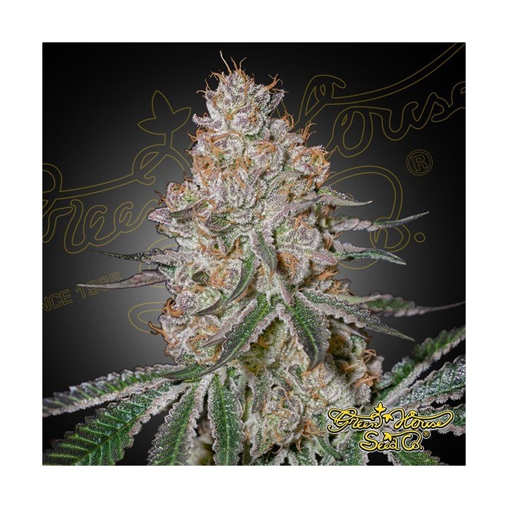 HighCloudZ