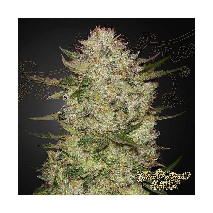 HighCloudZ Auto