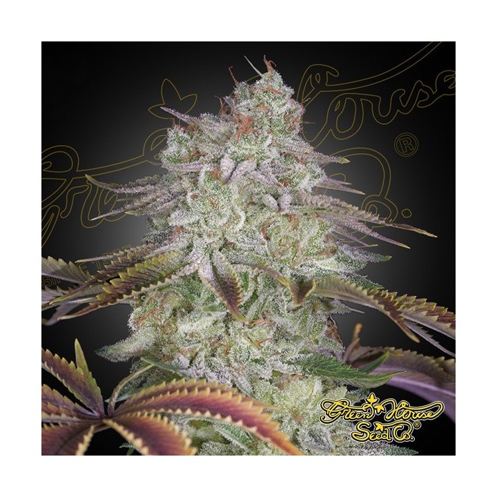 AlienZ - Green House Seeds