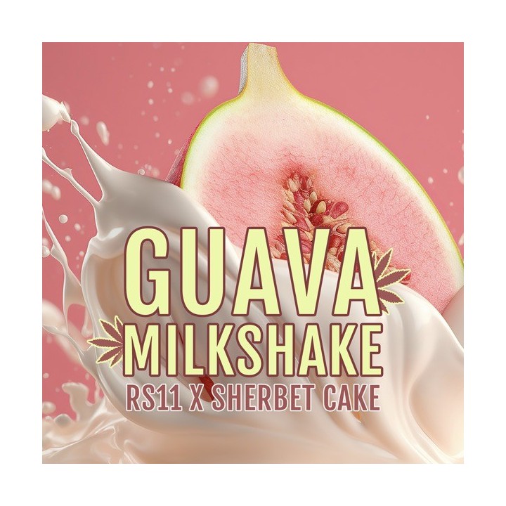 Guava Milkshake