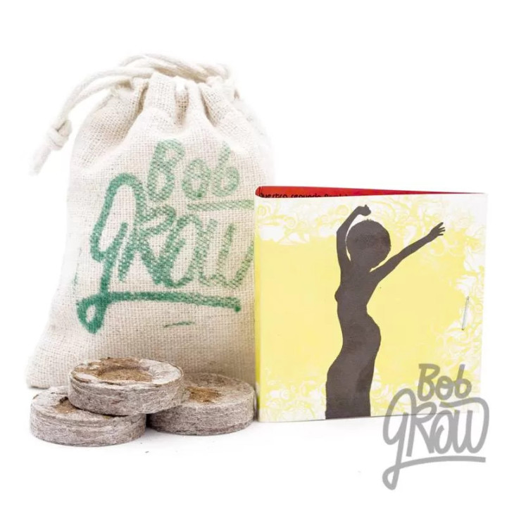 Blackdance FeminizadaReggae Seeds