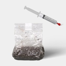 Kit de Estudios Microscópicos de Esporas de Hongos (con Bolsa)