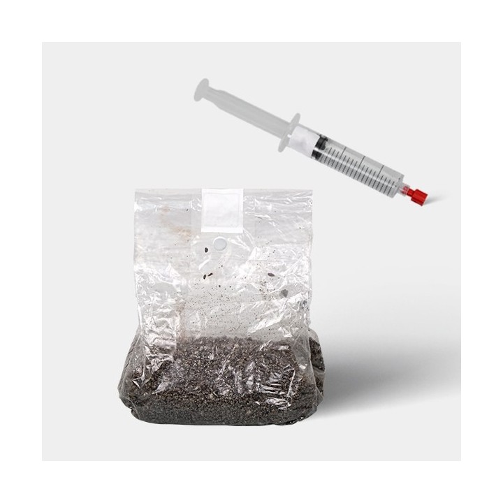 Kit de Estudios Microscópicos de Esporas de Hongos (con Bolsa)