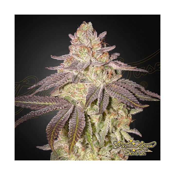 Black Toffee Auto