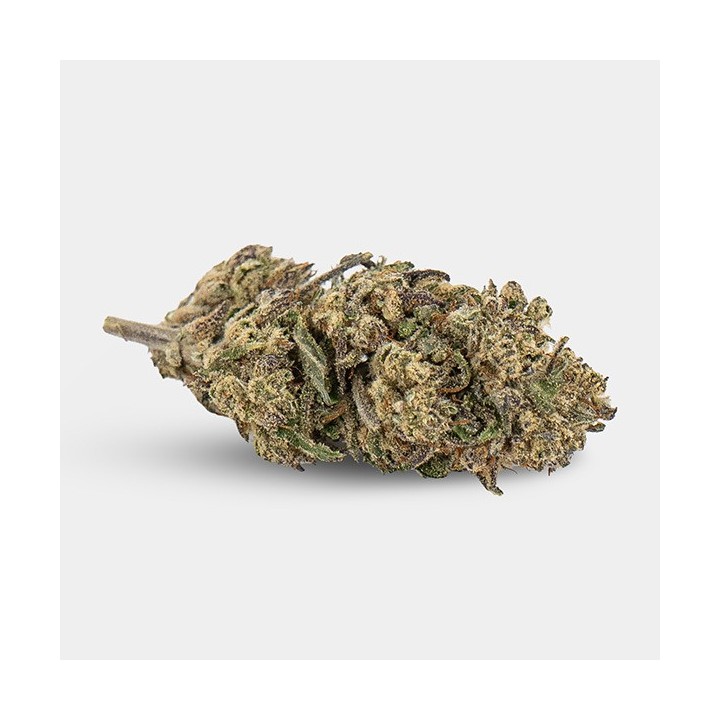Flores CBD KEMA 'Plutonium'
