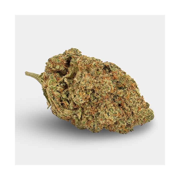 Flores CBD KEMA 'Amnesia Haze'