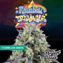 Rainbow Triangle