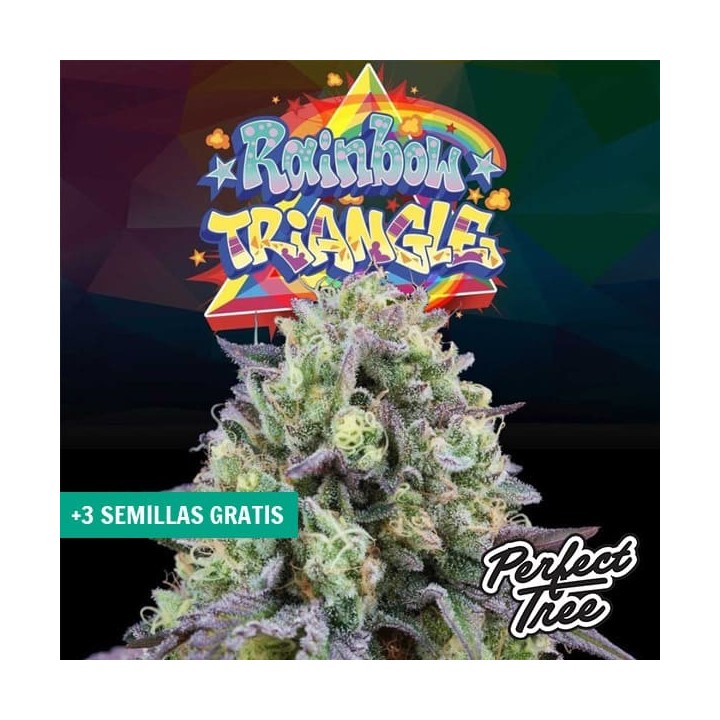 Rainbow Triangle