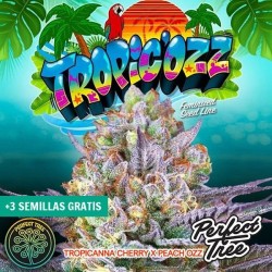 Tropic’Ozz