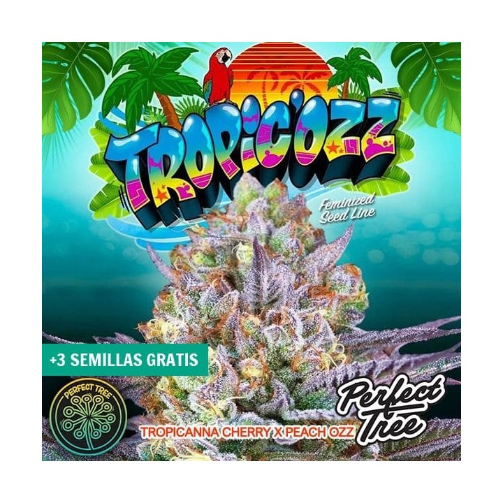 Tropic’Ozz