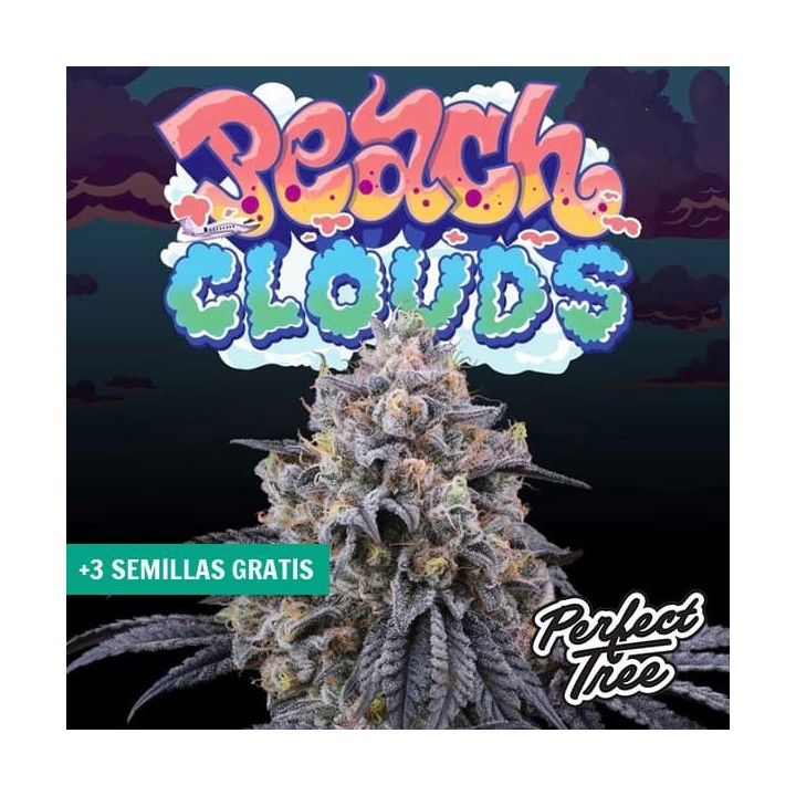 Peach Clouds