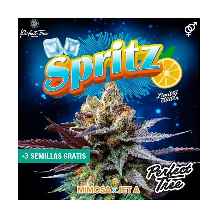 Spritz