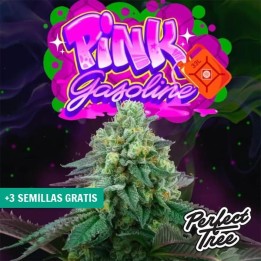 Pink Gasoline