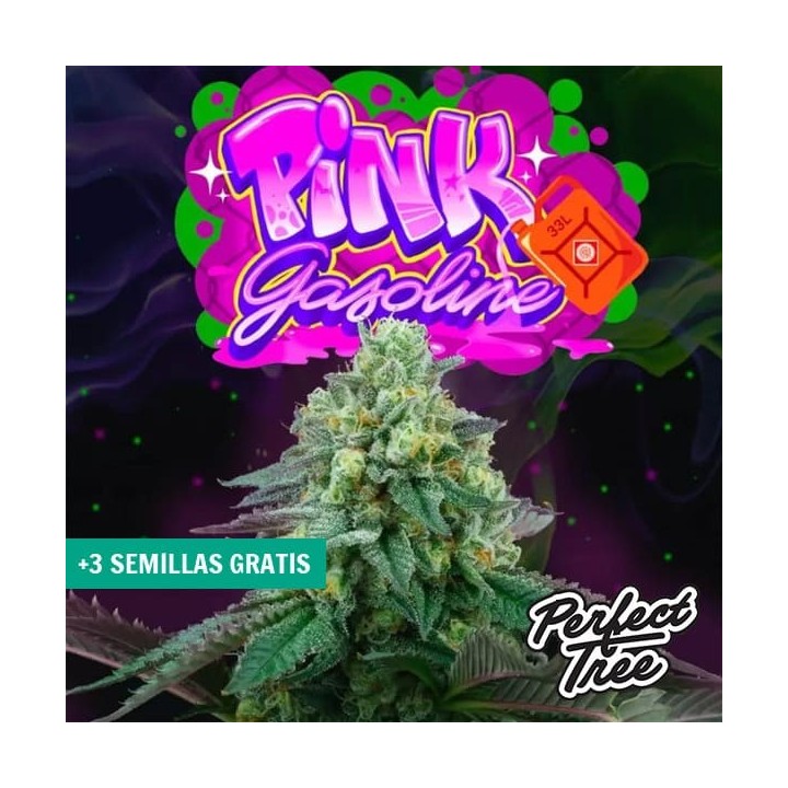 Pink Gasoline