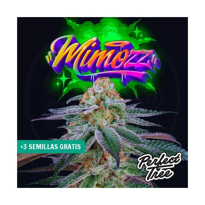 Mimooz