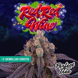 Red Red Wine
