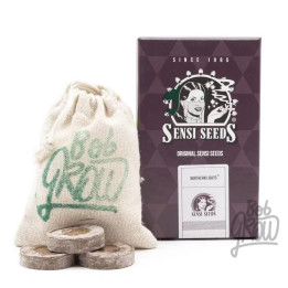  Northern Lights Feminizada 【Sensi Seeds】