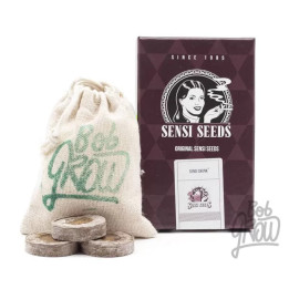  Sensi Skunk Feminizada 【Sensi Seeds】