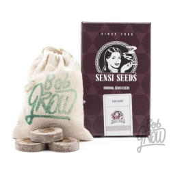 SENSI SKUNK