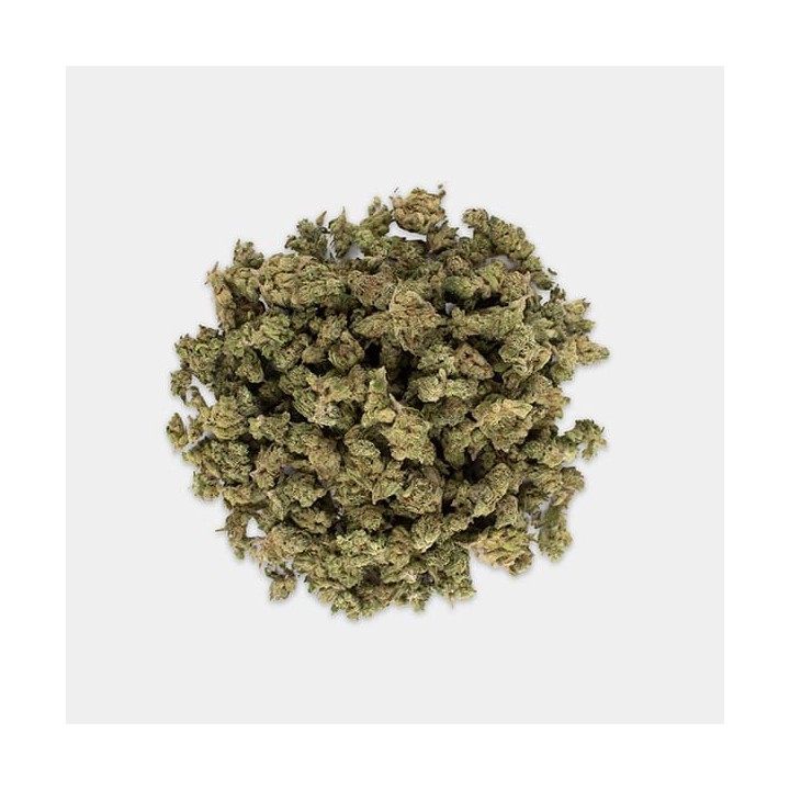 Flores CBD The Greench Ed. Limitada