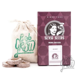  Jack Herer® Feminizada 【Sensi Seeds】