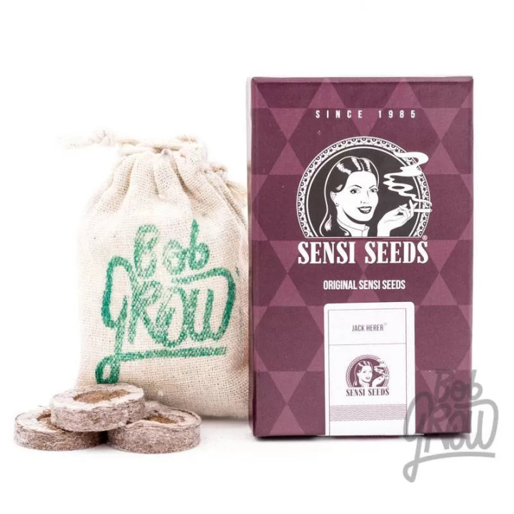 Jack Herer® Feminizada Sensi Seeds