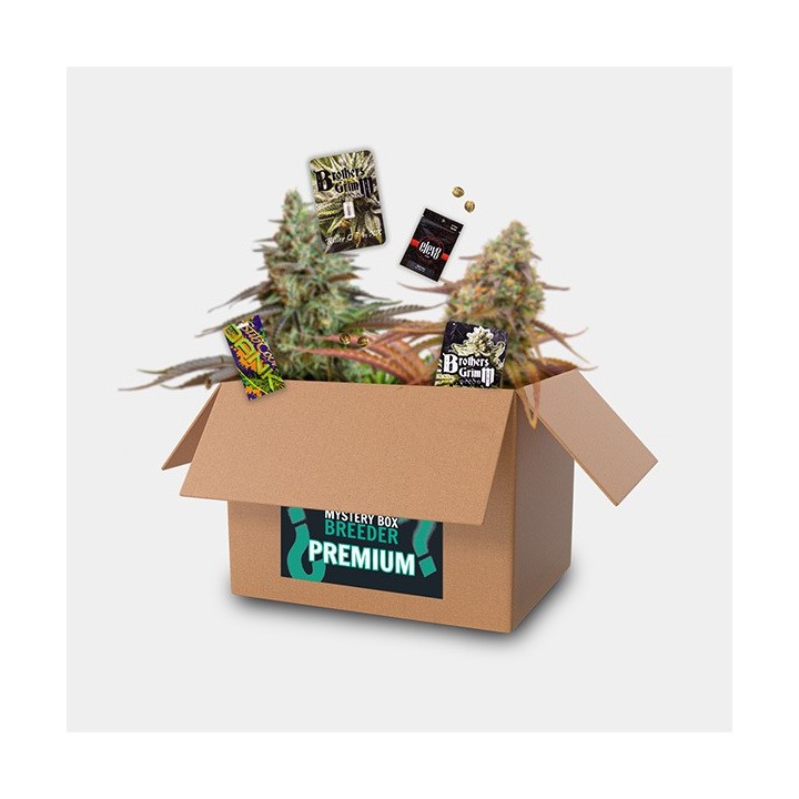 Breeder Box Premium