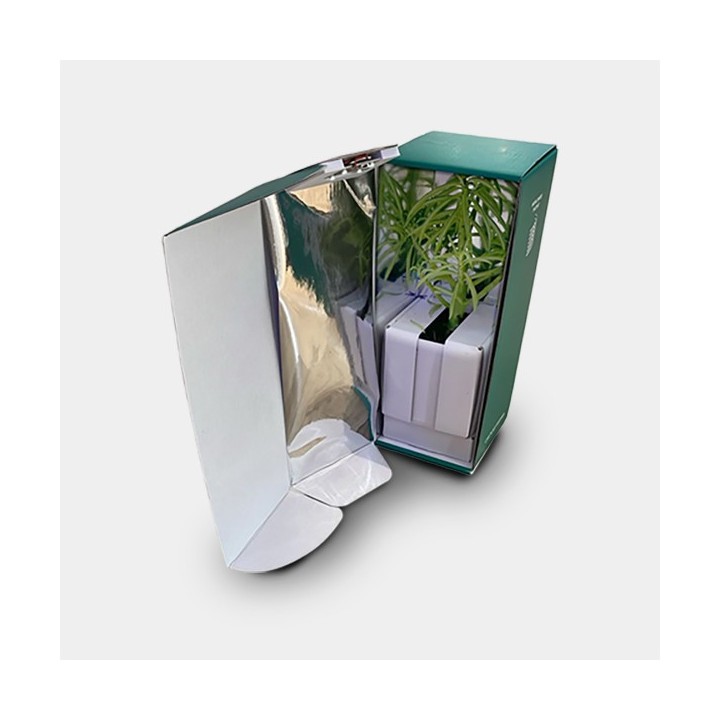 Caja de Transporte para Esquejes