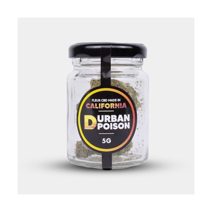 Flores CBD Durban Poison Cocori Kush