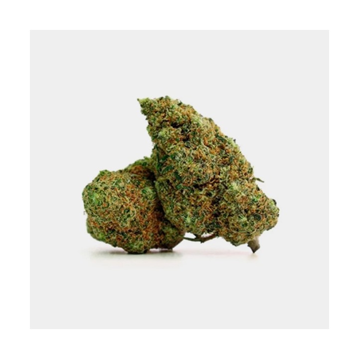 Flores CBD Durban Poison Cocori Kush