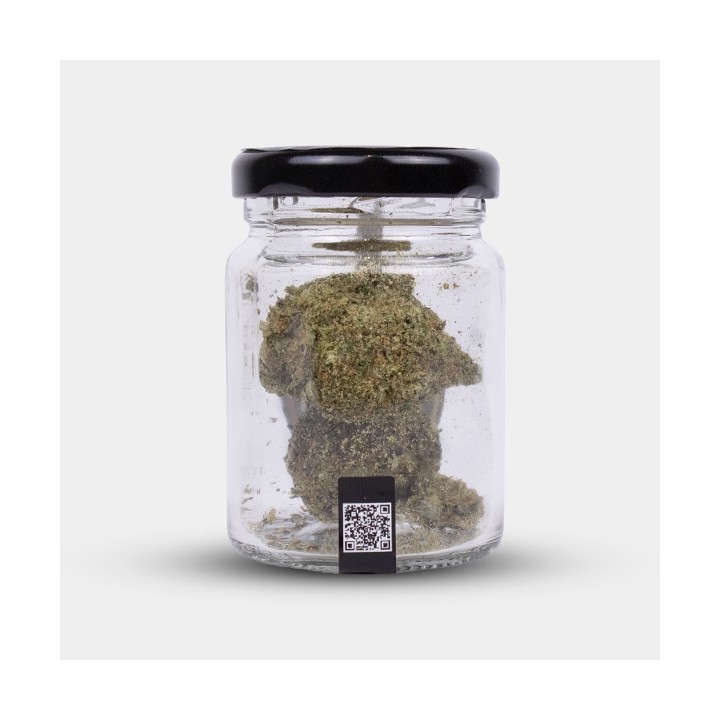 Flores CBD Durban Poison Cocori Kush