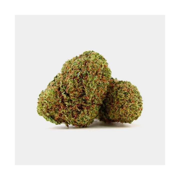 Flores CBD North Thunderfuck Cocori Kush