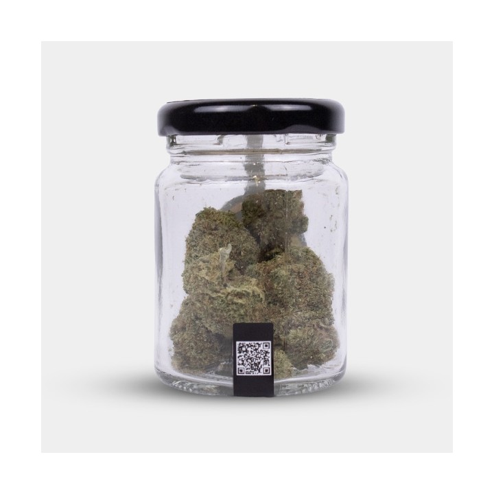 Flores CBD North Thunderfuck Cocori Kush