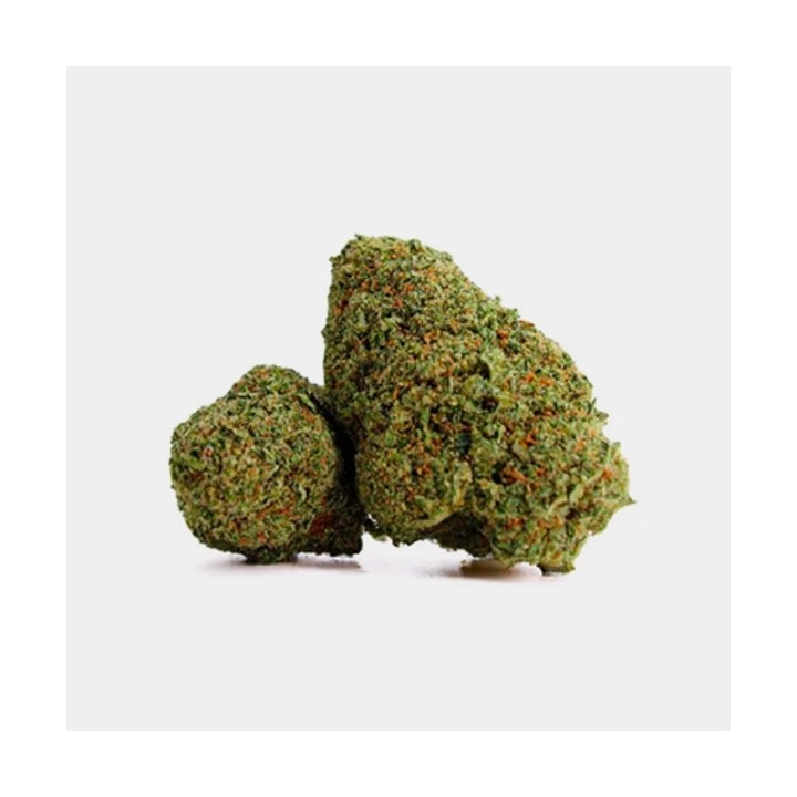 Flores CBD X Haze Cocori Kush