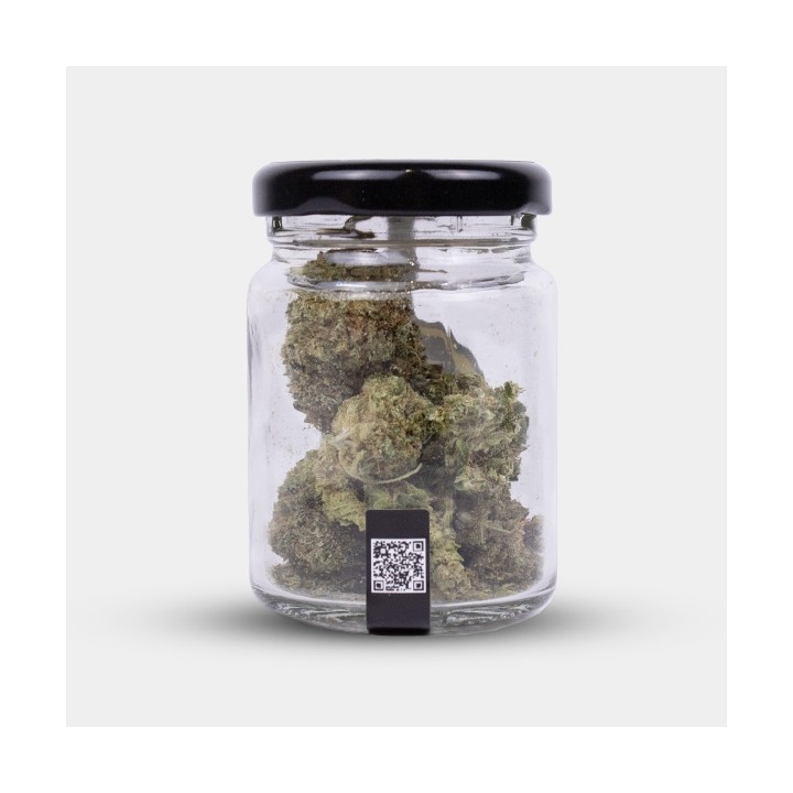 Flores CBD X Haze Cocori Kush