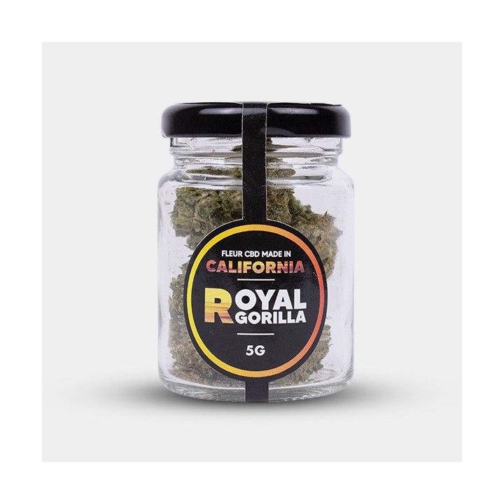 Flores CBD Royal Gorilla Cocori Kush