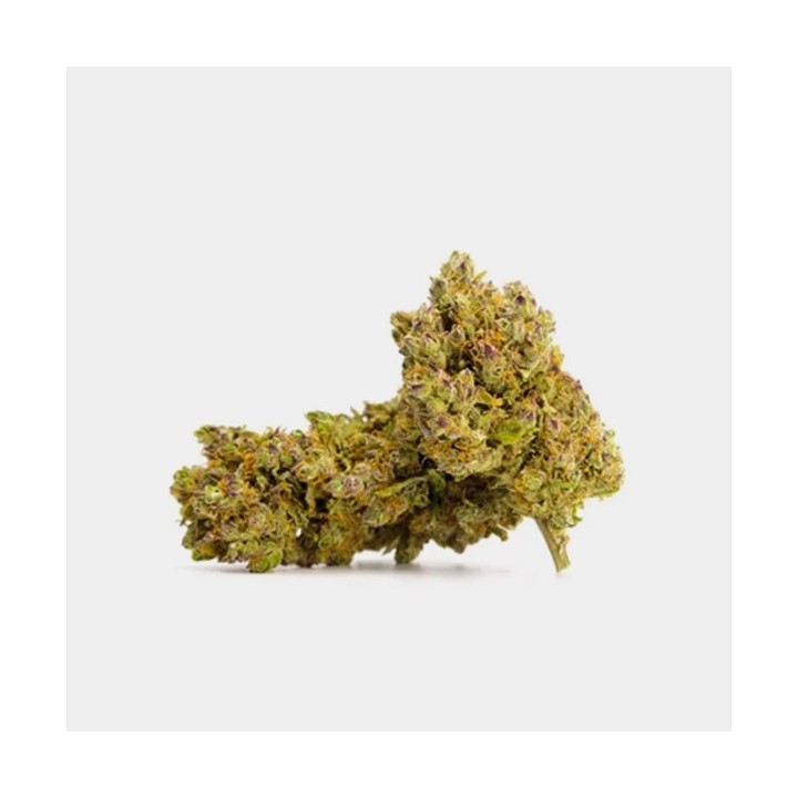 Flores CBD Royal Gorilla Cocori Kush