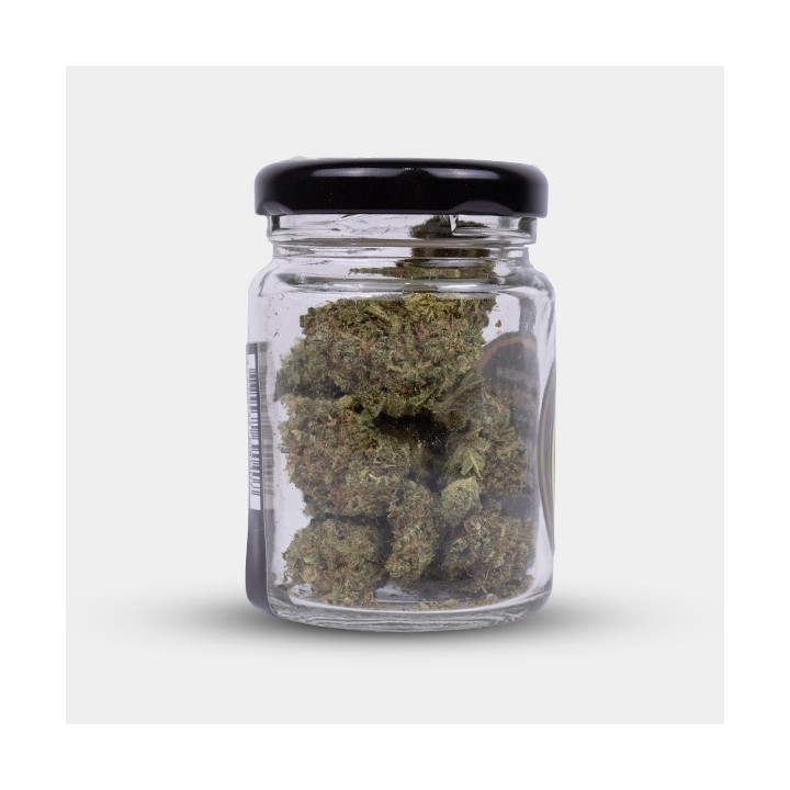 Flores CBD Royal Gorilla Cocori Kush