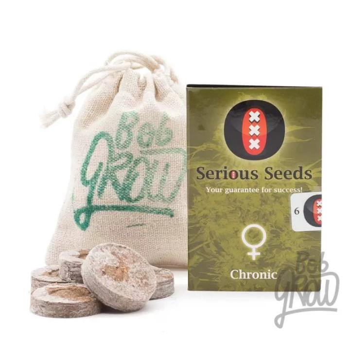 Chronic FeminizadaSerious Seeds