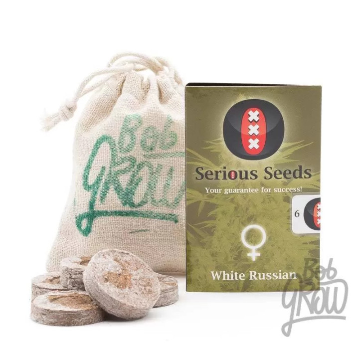 White Russian FeminizadaSerious Seeds