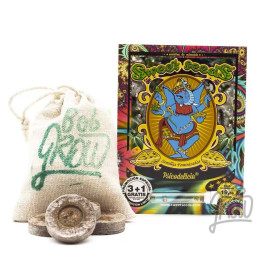  Psicodelicia Feminizada【Sweet Seeds】