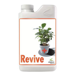 REVIVE