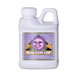 BUD IGNITOR
