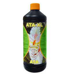 Ata XL 【Atami】