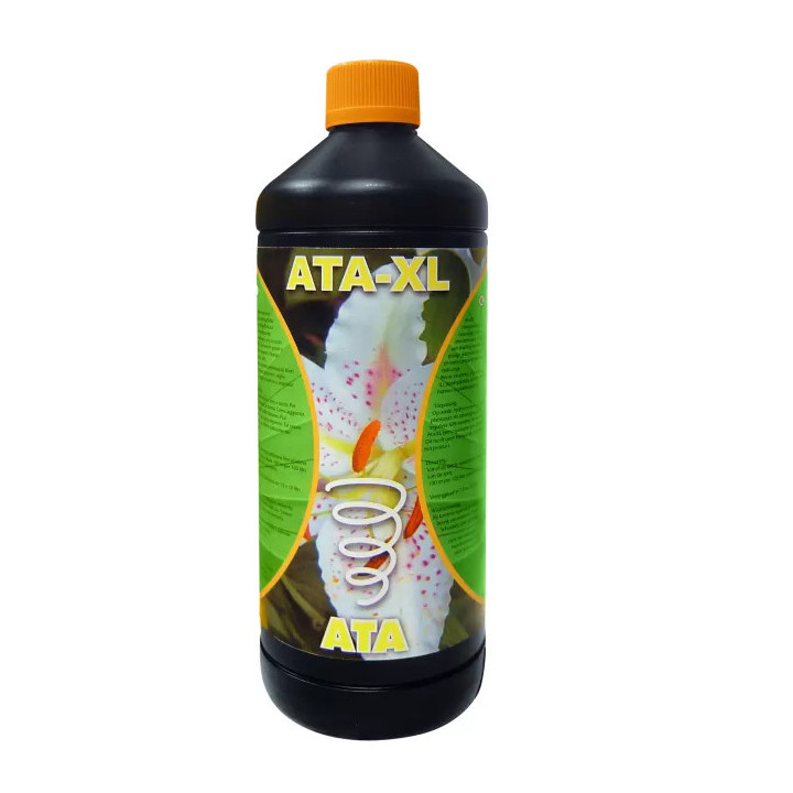 Ata XL Atami