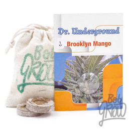  Brooklyn Mango Feminizada 【Dr. Underground Seeds】