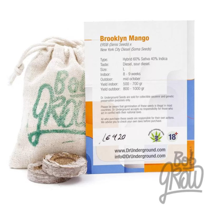  Brooklyn Mango Feminizada 【Dr. Underground Seeds】