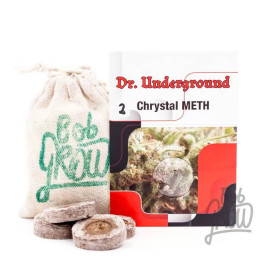  Crystal Meth Feminizada 【Dr. Underground Seeds】