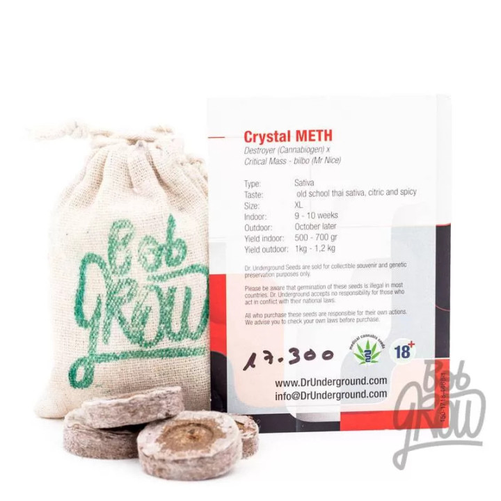  Crystal Meth Feminizada 【Dr. Underground Seeds】