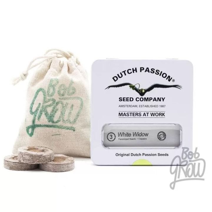  White Widow Feminizada 【Dutch Passion】